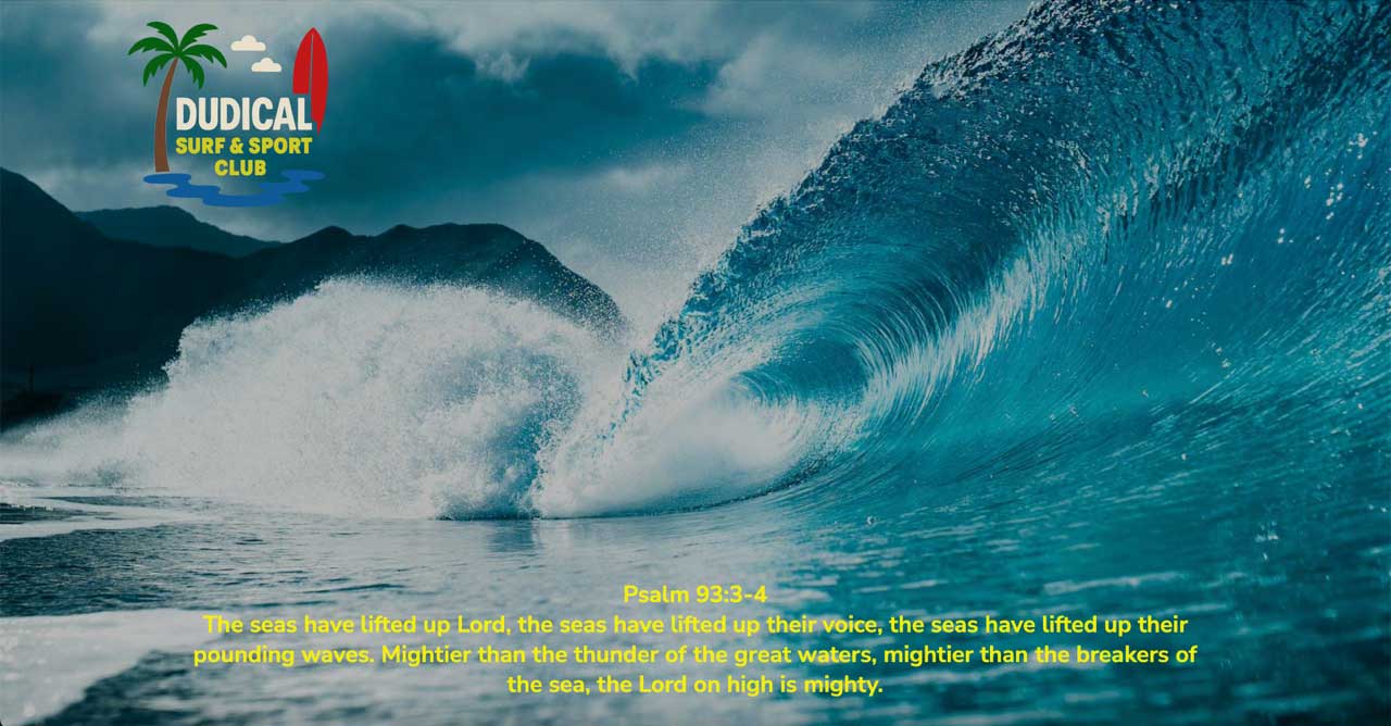 Surf Club